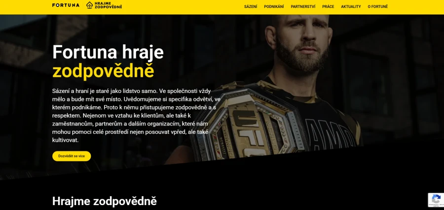 Fortuna Zodpovědné Hraní